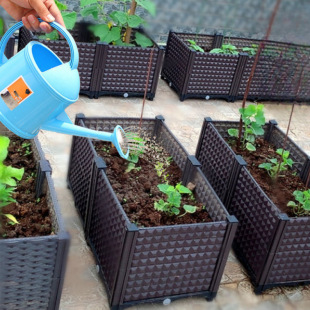 ��픻����߲˷Nֲ�����ͥԺ���û������ϷN�����L���δ�̖