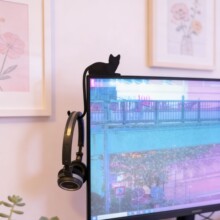 3D��ӡè����ʾ���ҹ��������ɶ����Ҽ����׿�ͨèβ��װ�ιҹ�
