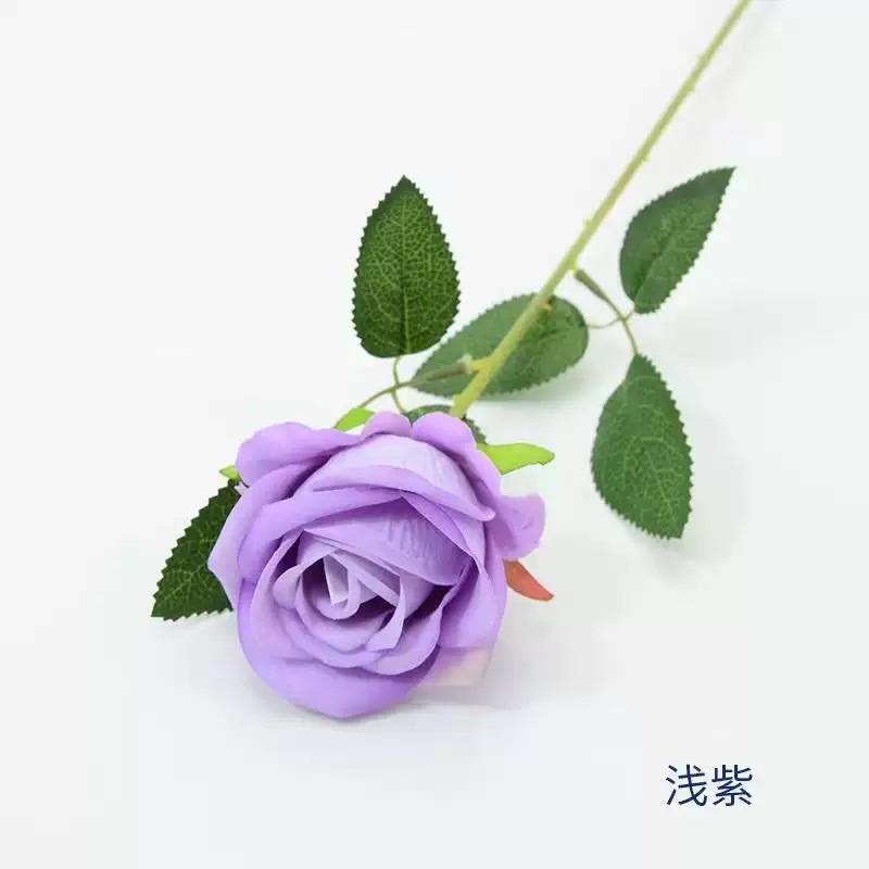 펄 벨벳 퍼플