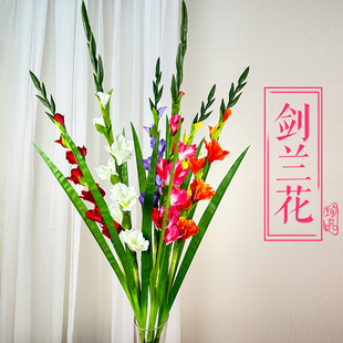 ���滨�ָ��^�z���m����ֲ��ٻ�������c�쾰�͏d�ҾӔzӰ�b�