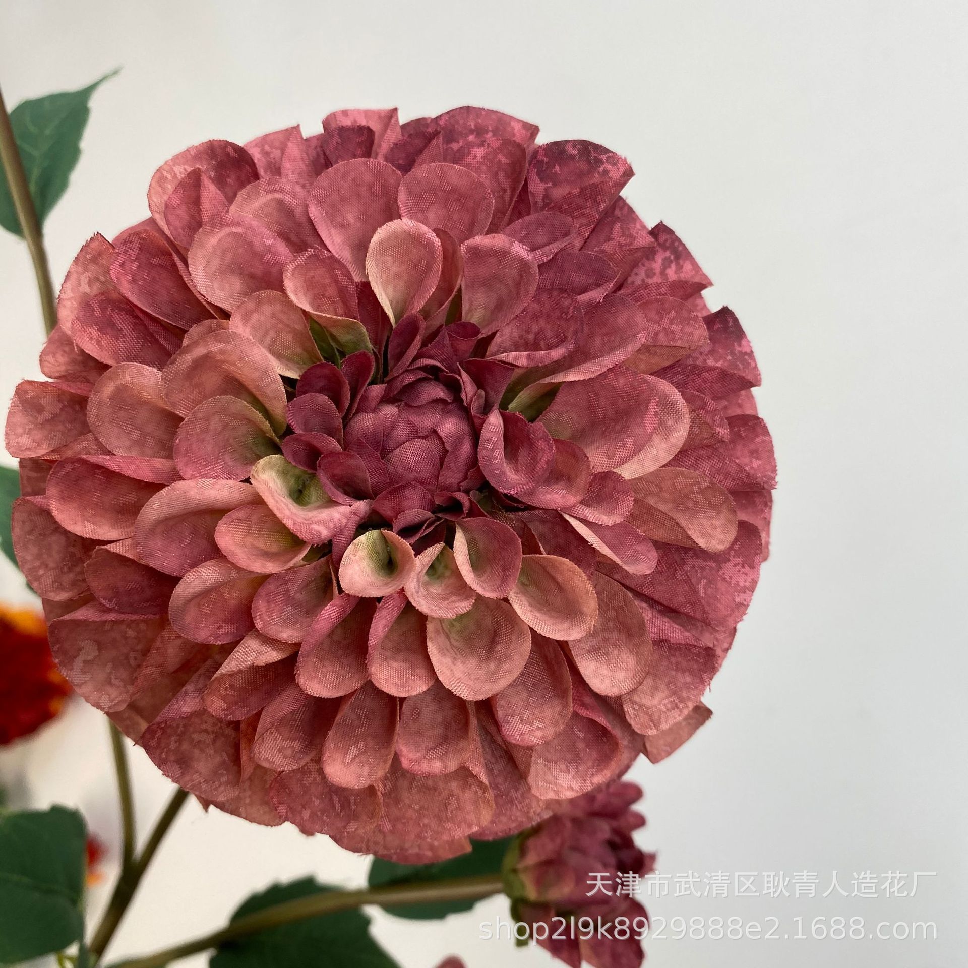 콩 페이스트