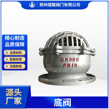 定制H42X不锈钢底阀水泵吸水止回阀铸铁大口径阀门