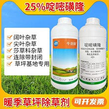 啶嘧磺隆百慕大马尼拉狗牙根台湾草坪除杂草剂马唐水花生香附子药