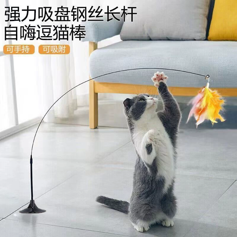Toy, durable changeable steel wire, cat, new collection