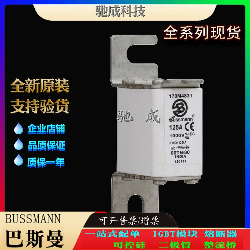 Басман 170M4831 170M4832 170M4833 производитель оригинальная оптовая цена Отлично быстрый предохранитель