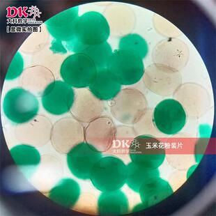 ��ƽ̌W ���a�S���@΢�R��Ƭ �߽�ֲ����Ƭ ���׻����bƬ