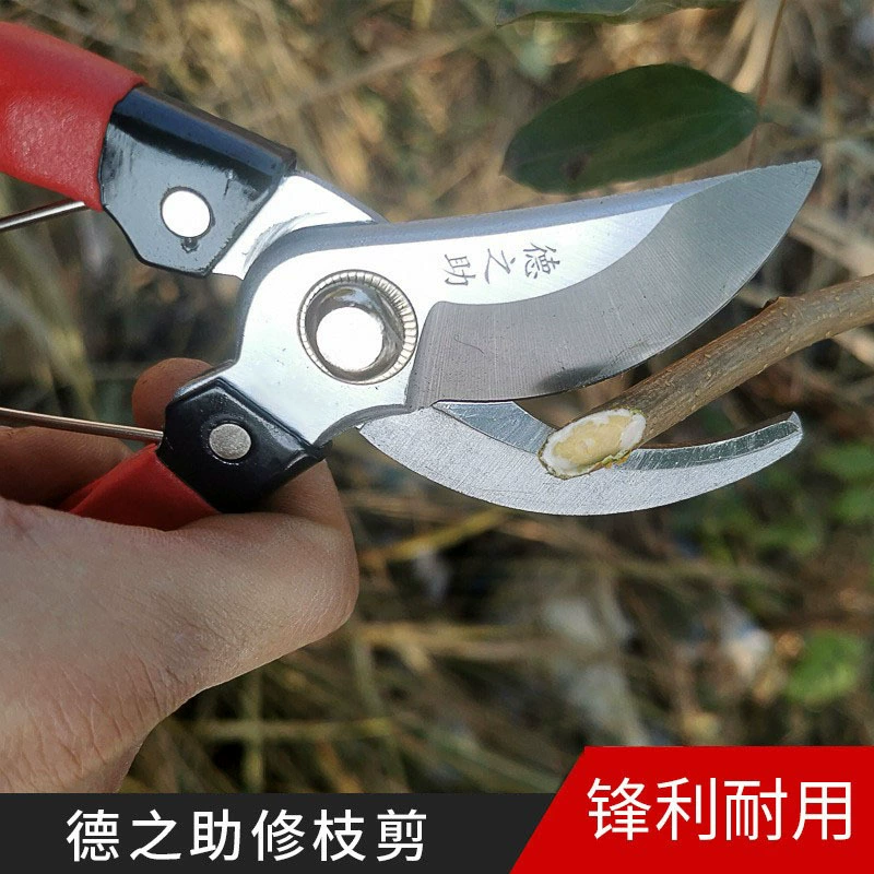 Ножницы для маринования фруктов Juizhao с прямой головкой Цин пластиковая ручка из марганцевой стали Ножницы цветочные ножницы садовые ножницы