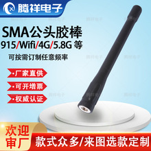 С�����쾀2.4Gģ�K܇�d�{��wifi�쾀SMA���^�z��915/4G/��̖�쾀