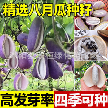 ¹ϷNӴﶬͥԺNֲֲˮ¹ϰըN