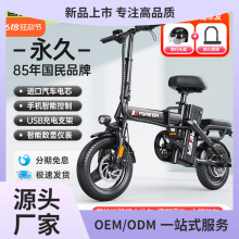 �����۵��綯���г������ЯС�ʹ��ݵ綯����������﮵�ص�����