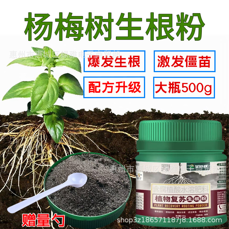 杨梅树生根粉农用强力生根壮苗剂快速生根液移栽扦插通用水溶肥液