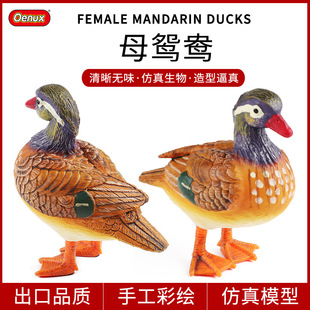 ���ɷ��������B�ģ���x�����ք��ﻨ�@�辰�b���߼Ҿӈ����[��