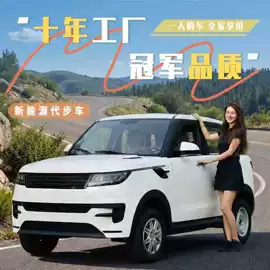 电动代步车;其他电动车;高尔夫球车