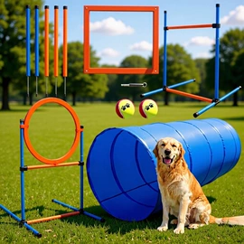 足球训练用具;足球门/网;瑜伽辅助用品