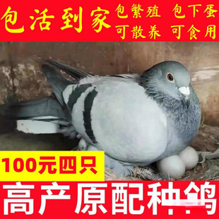 �����µ������������N�����߻���������С���ӻ�һ��