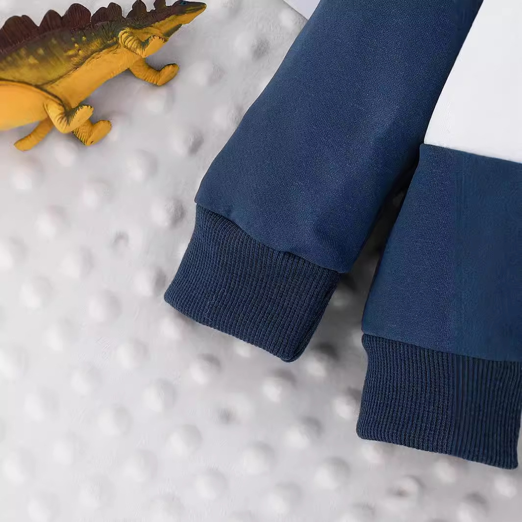 2004 Cross-Border Autumn/Winter Baby Boy Dinosaur Patchwork Sweatshirt European And American Foreign Trade Style Boys'_voghion.com
