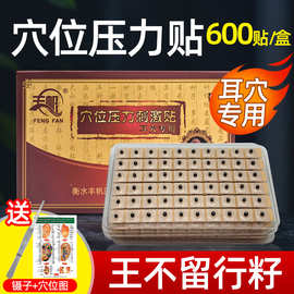 王不留行籽耳穴贴耳贴中医耳穴压豆贴耳朵模型磁珠穴位压力贴
