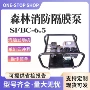 便携式大流量森林消防隔膜泵