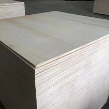 �ߴ���N����|�S�P���P �Ӵ�ӌ����L�N������z�ϰ���b��