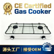 ���Q�����p��W���t �װ�ɫ̨ʽ�p�^ȼ���� �p��ú���� LPG ȼ��