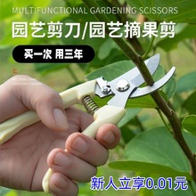 新人立享0.01【园艺剪】修剪树枝盆栽家用必备剪绿化剪刀专用工具