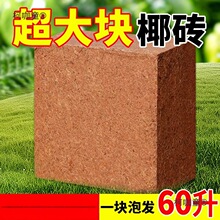 9���KҬ�u�I�B���B����Ҭ�Ӛ�����Ү�u�N������Ó�}Ҭ����̫��