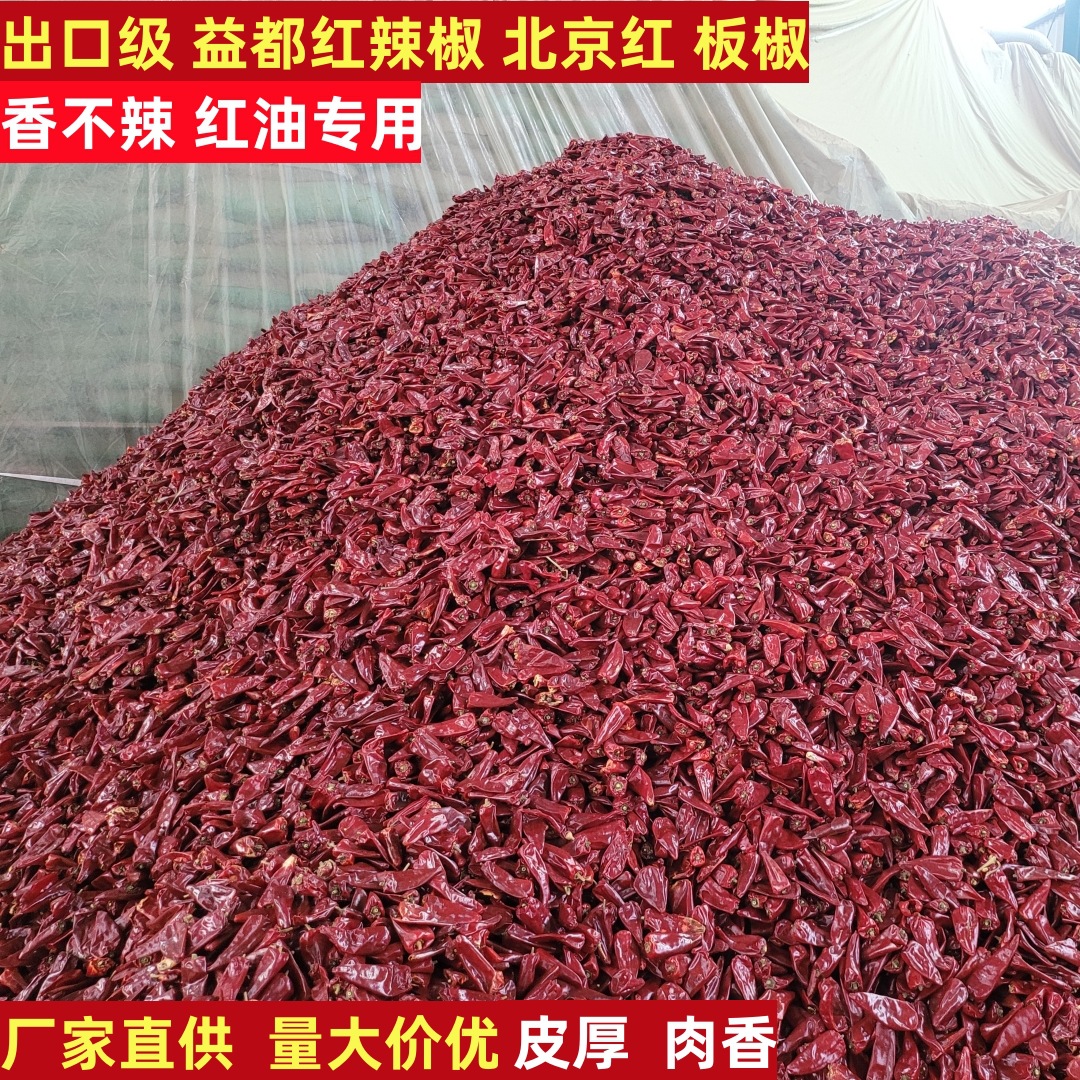 现货红不辣益都红辣椒北京红新疆板椒干辣椒红油专用大量批发