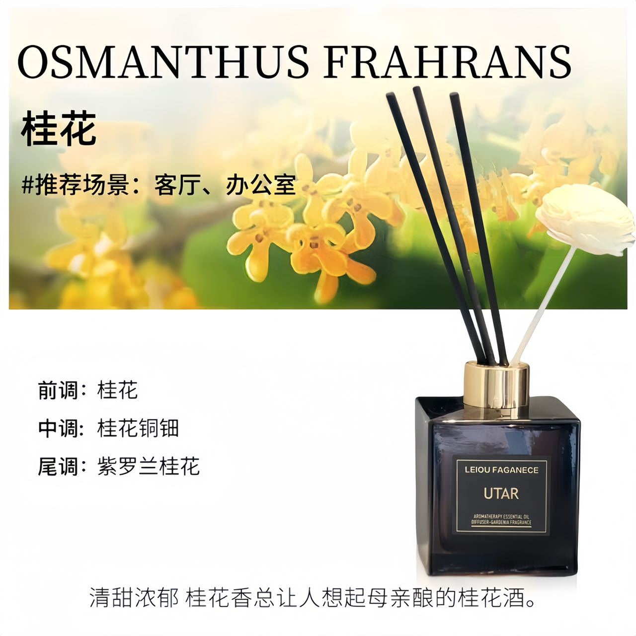 클래식 대형 병 200ML (계화)