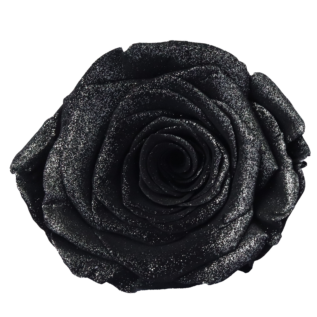 Rosa degradada eterna A+ con efecto degradado de color azul hielo, rosa seca triturada, flor preservada, fabricante de Yunnan, venta al por mayor.