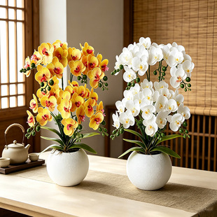 45������m���滨���Ի�c��ˇ�bٻ��辰�Ҿӿ͏d���þGֲ����