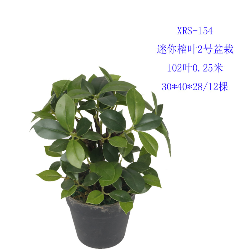 XRS-154 迷你榕叶2号盆栽102叶0.25米.jpg