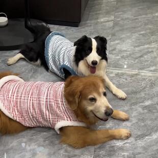 ��ë�·�����Ӻ�ůС���L�󹷹�ʿ���_ĦҮ�����·��д���Ȯ