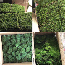 �װl��Ƥ̦�\�̽q����\�@�ֻ��@ֲ���쾰΢���^����̦�\΢���^