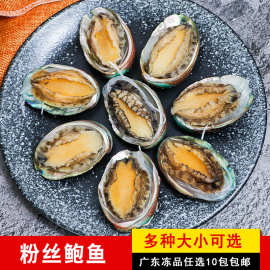 海有仓粉丝鲍鱼10个商用烧烤蒸半成品食材去齿去内脏海鲜带壳鲍鱼