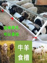 �Bֳ�O��ιţ���ι�������L���β�ƽ�ײ����B���H�R�O����������