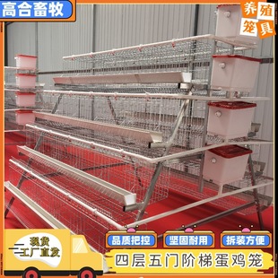 四层五门蛋鸡笼 肉鸡笼镀锌笼 三层四层养鸡笼 鸡舍养鸡场 阶梯式-阿里巴巴