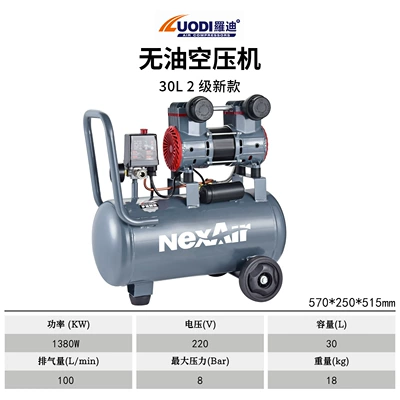 Compressor Small 220V Portable – Hava kompressorları - ldyx-1380w-to-level-2-new-model-30l