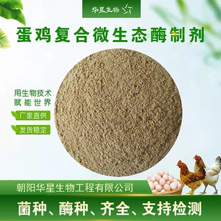 华星生物 蛋鸡多复合菌酶制剂 鸡用多复合酶芽孢杆菌饲料添加剂