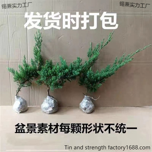 �ذ���䘶�ذؘ����辰�ذ�����ӭ����С��ɳ�ذ������ؘ����ļ�