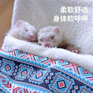 ������������ѩ���l�y�ﶬ˯����ů�����޸C���m�H�w��������ѩ��