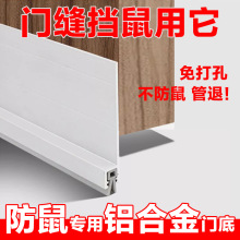 �X�Ͻ��T���ܷ�l������������x�T�������T�p�ײ��p϶���l���L