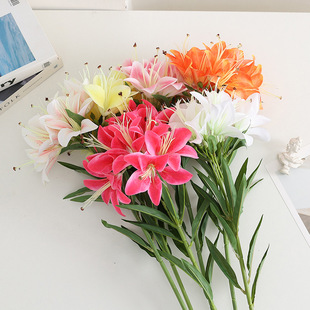 �羳 ������^�ٺ����l �������P�[���b� ����Ұ�ٺϻ�Y����