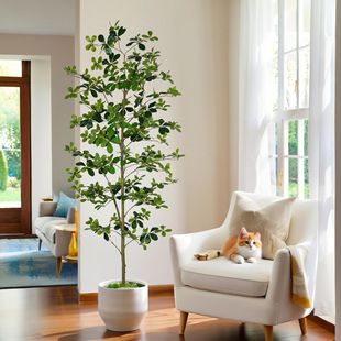 ���R�d���N����ϙ�����Է�����������ԾGֲ��������ľ�b[��