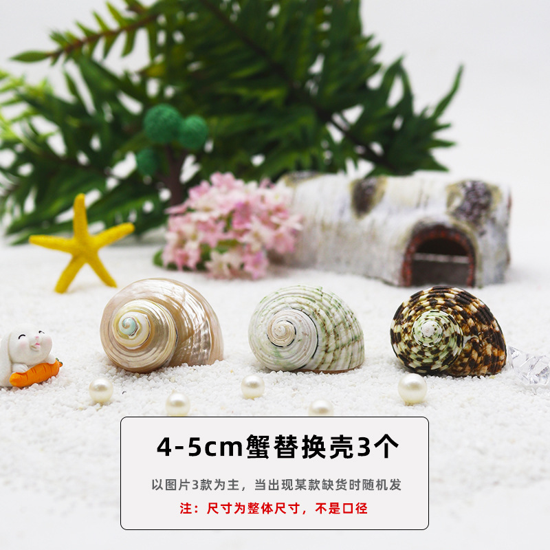 4-5cm 게 교체껍질 3개 [콤비네이션팩C]
