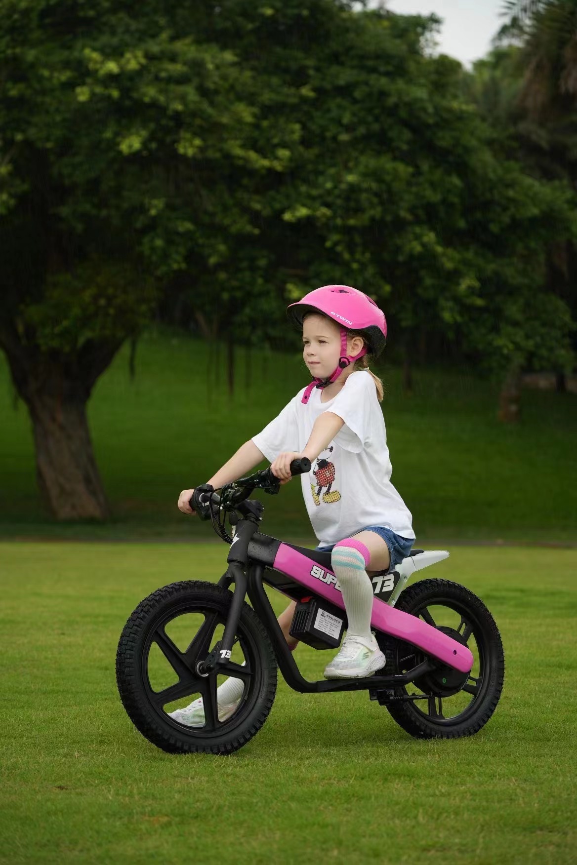 Роза красная