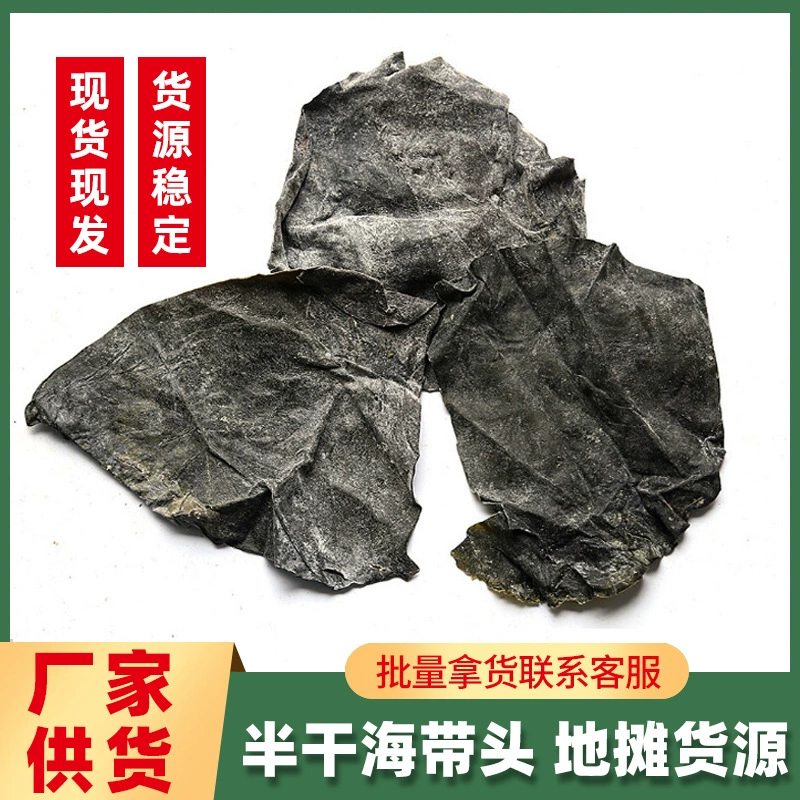 Оптовая продажа сушеной морской капусты (кельп) в больших количествах, толстые ломтики, целая коробка, полусушеная, соленая, сушка на солнце, новая партия для рынков.