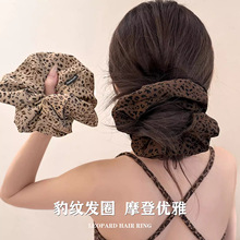 ���ߏ������c�lȦ��̖�Rβ���y�r�ָ߰ٴ�͹ŰlȦ�|�е��n��