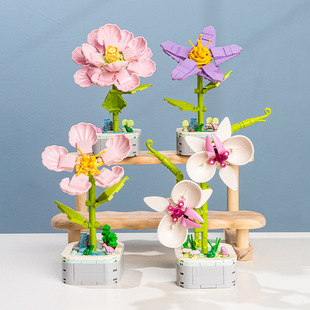 ��RС�w�����Էeľ�����G���ٺϻ��ҾӔ[���b�DIY�eľ������l