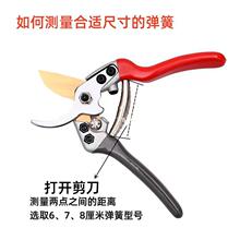 �@����֦�􏗻��Ƥ���ɹ����������@ˇ��֦��ʡ������