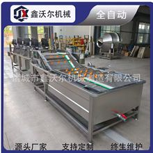 全自动果蔬气泡清洗机 高压喷淋洗菜机 小油菜上海青连续清洗设备